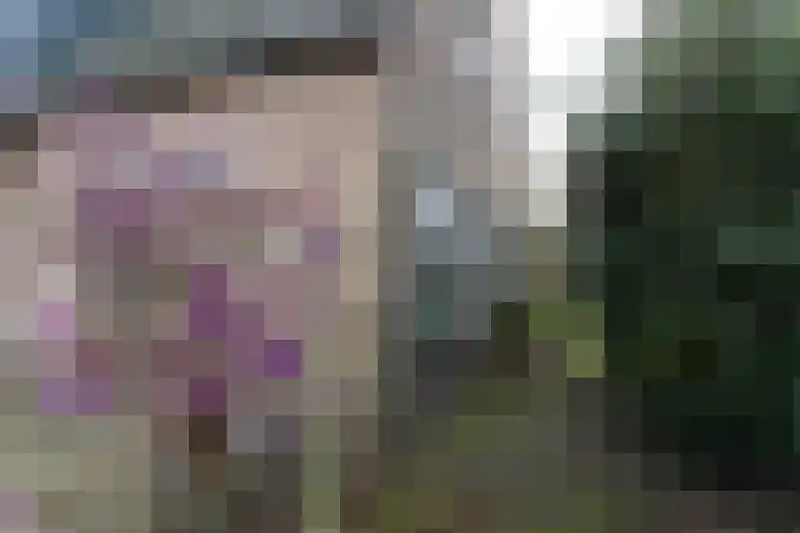Hamburgerweg 8 Ermelo thumbnail 9