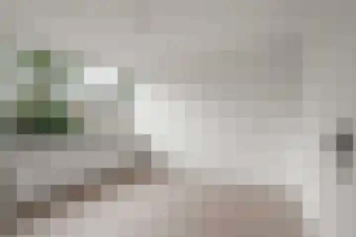 Hamdijk 2 Breda thumbnail 12