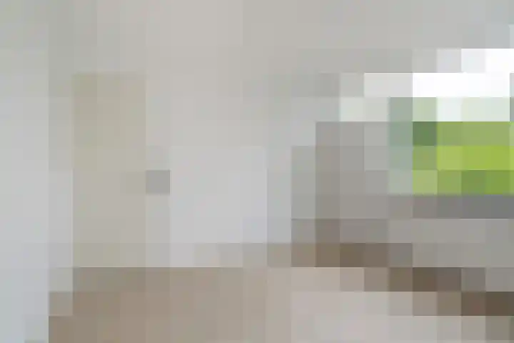 Hamdijk 2 Breda thumbnail 14
