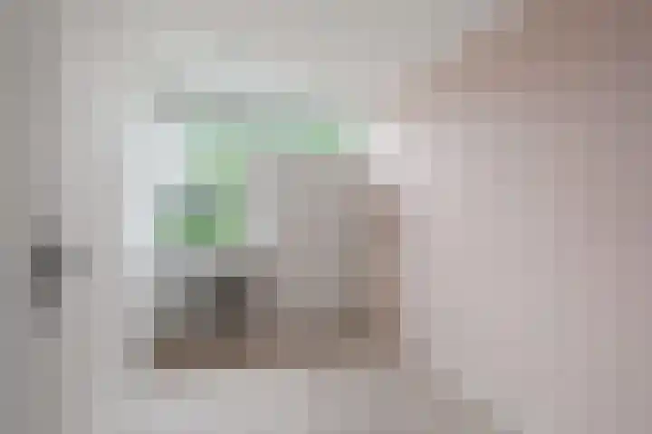 Hamdijk 2 Breda thumbnail 15