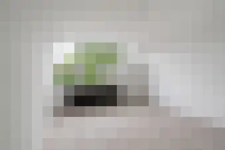 Hamdijk 2 Breda thumbnail 17