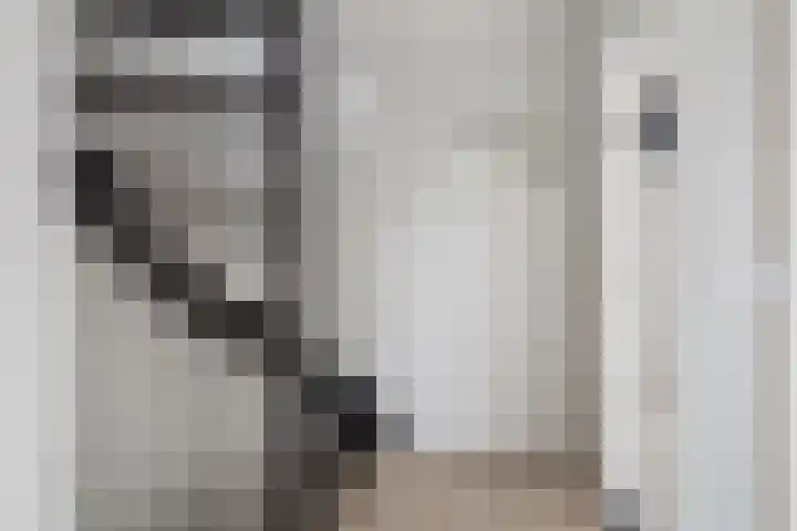 Hamdijk 2 Breda thumbnail 20