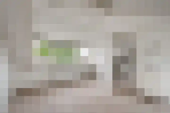 Hamdijk 2 Breda thumbnail 23