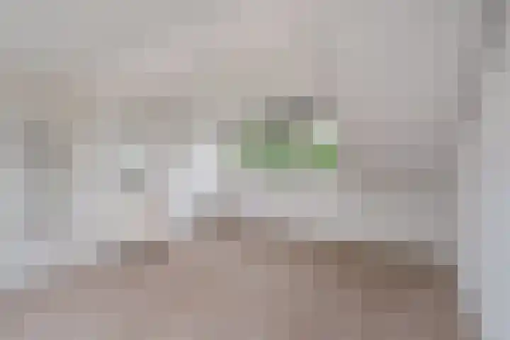 Hamdijk 2 Breda thumbnail 24