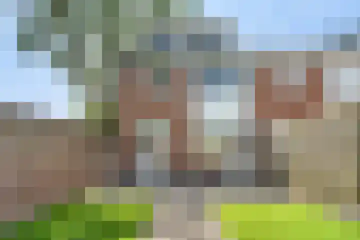 Hamdijk 2 Breda thumbnail 26