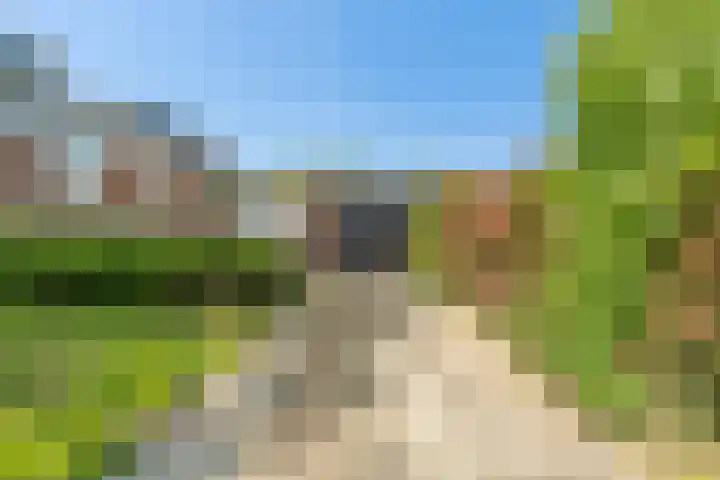 Hamdijk 2 Breda thumbnail 30