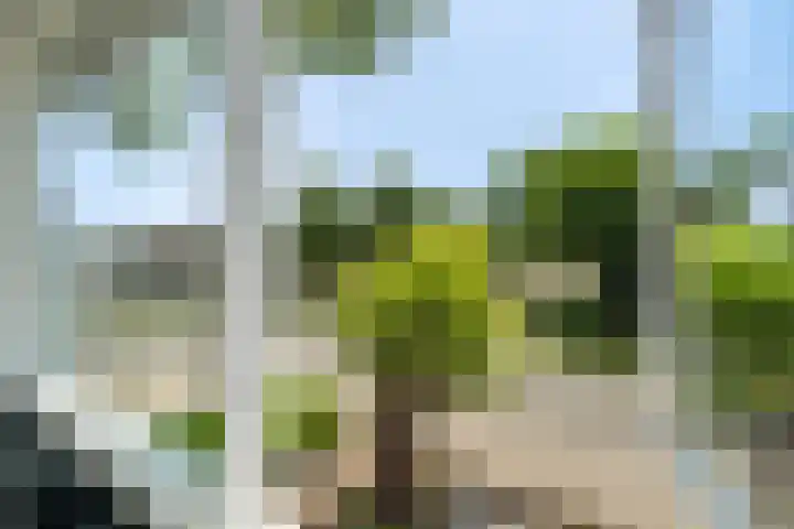 Hamdijk 2 Breda thumbnail 32