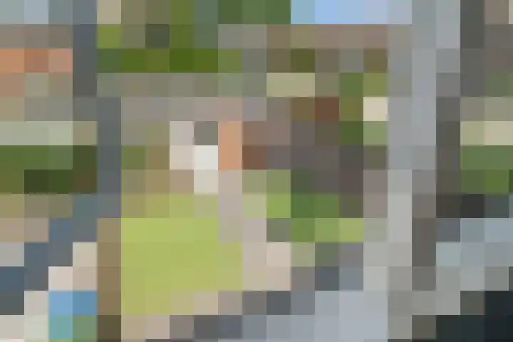 Hamdijk 2 Breda thumbnail 33