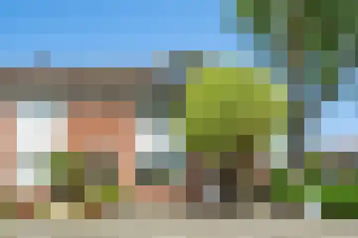 Hamdijk 2 Breda thumbnail 34