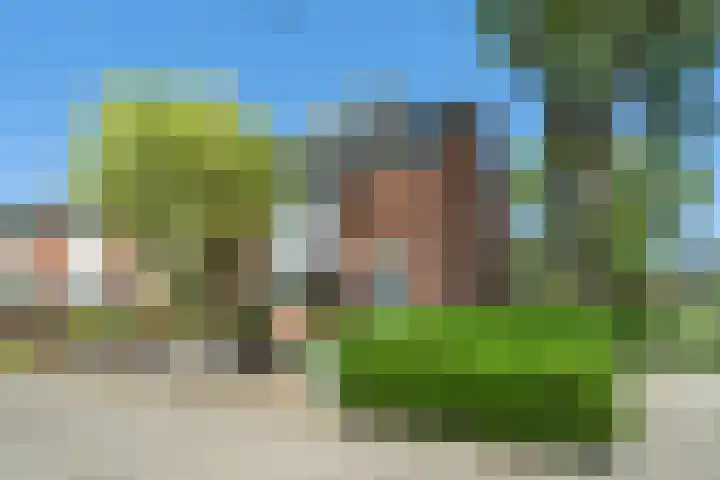 Hamdijk 2 Breda thumbnail 35