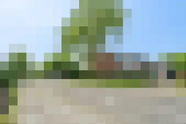 Hamdijk 2 Breda thumbnail 36