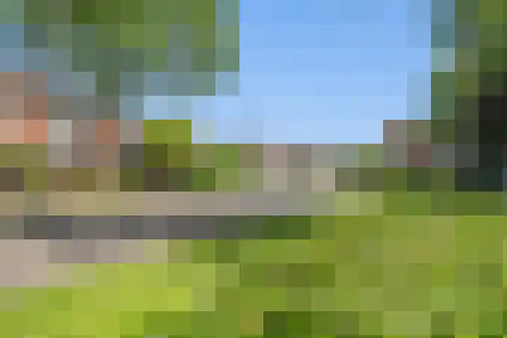Hamdijk 2 Breda thumbnail 39