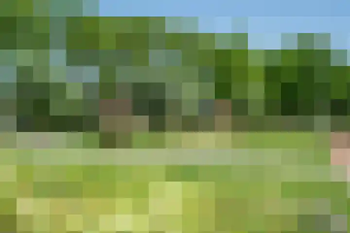 Hamdijk 2 Breda thumbnail 40