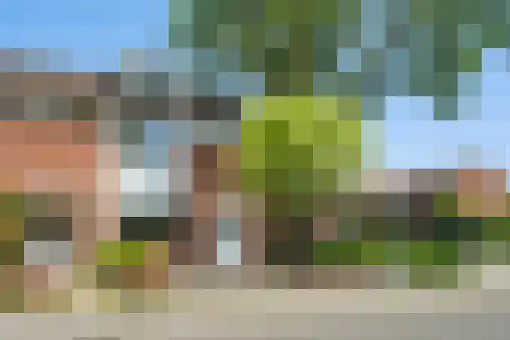 Hamdijk 2 Breda thumbnail 50