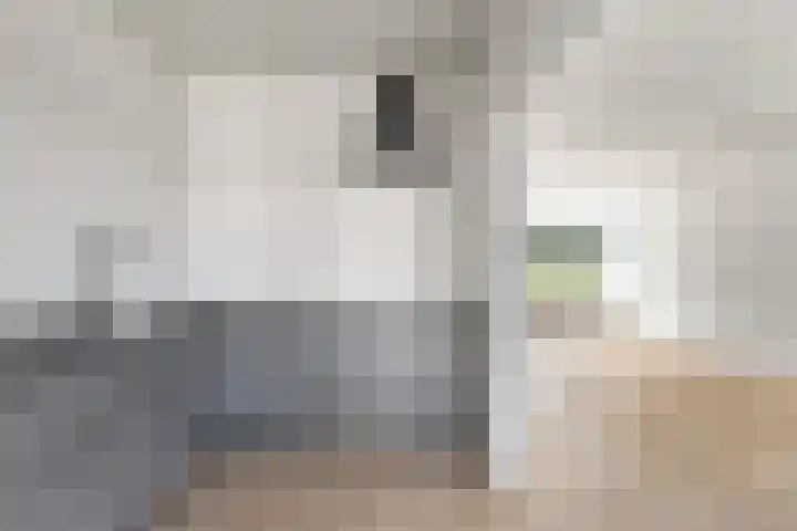 Hamdijk 2 Breda thumbnail 8