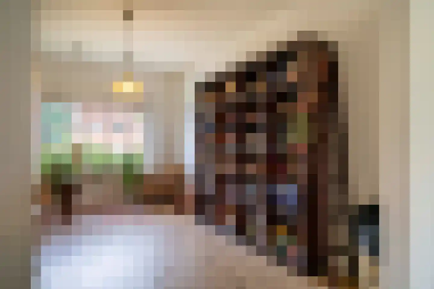 Hameestraat 95 Hertme thumbnail 13
