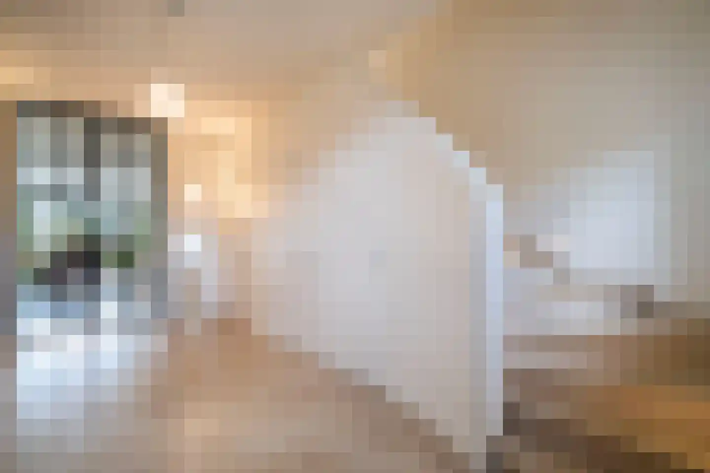 Hameestraat 95 Hertme thumbnail 5