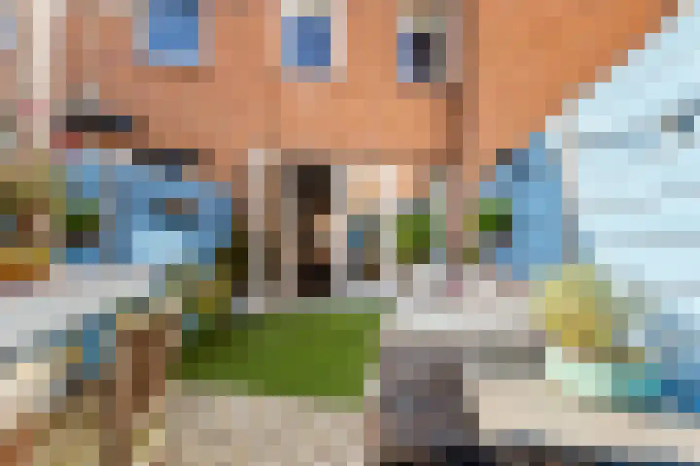 Hamei 3 Alkmaar thumbnail 10