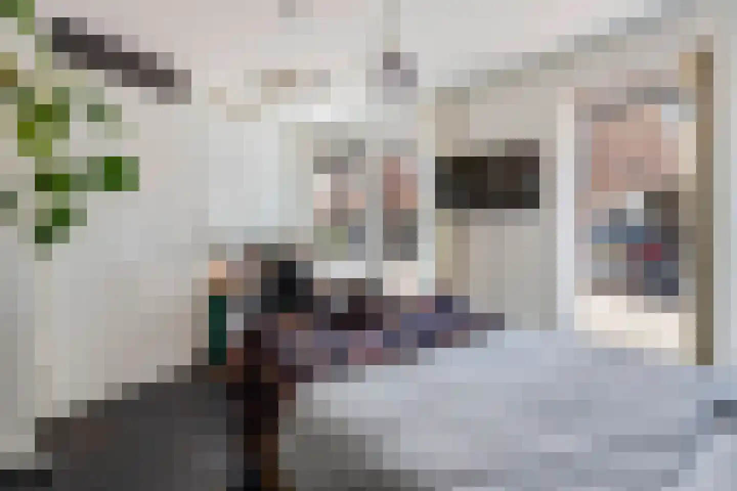 Hamei 3 Alkmaar thumbnail 15