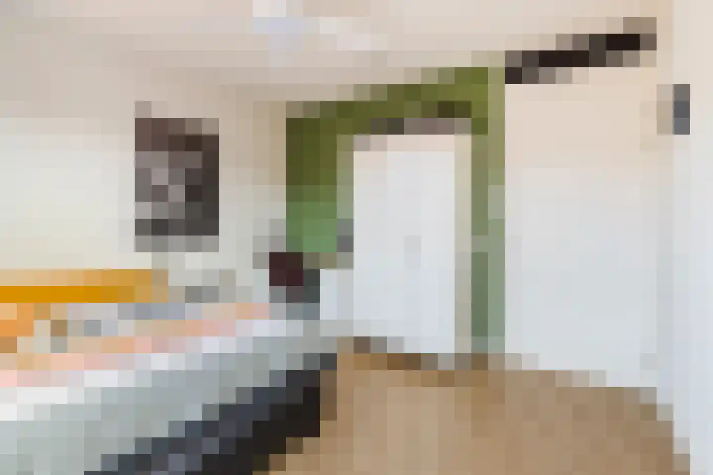 Hamei 3 Alkmaar thumbnail 19