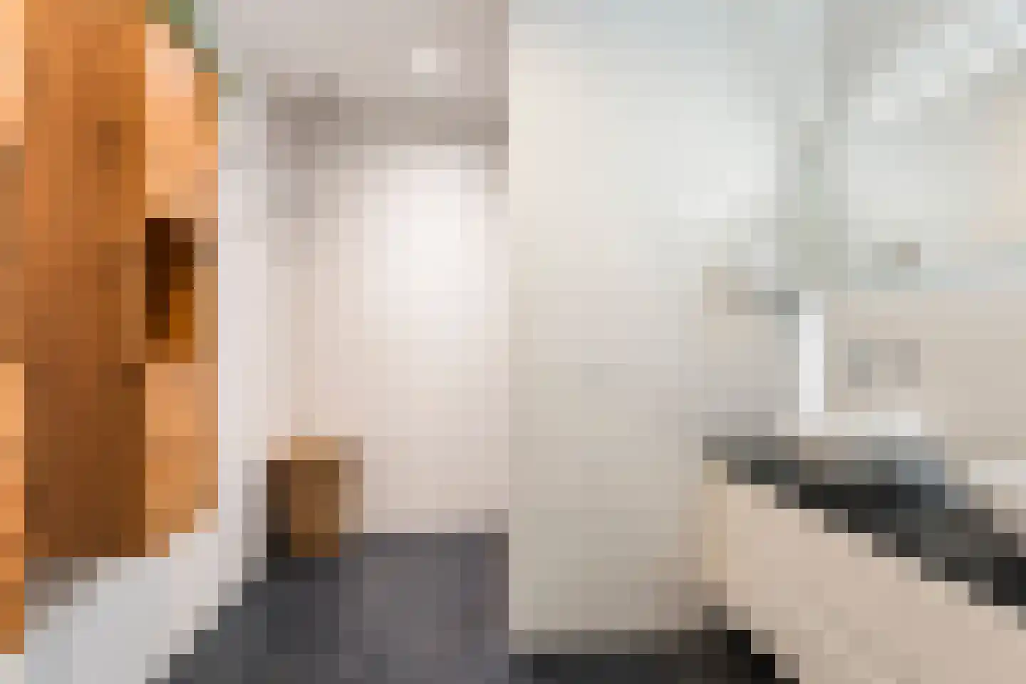 Hamei 3 Alkmaar thumbnail 21