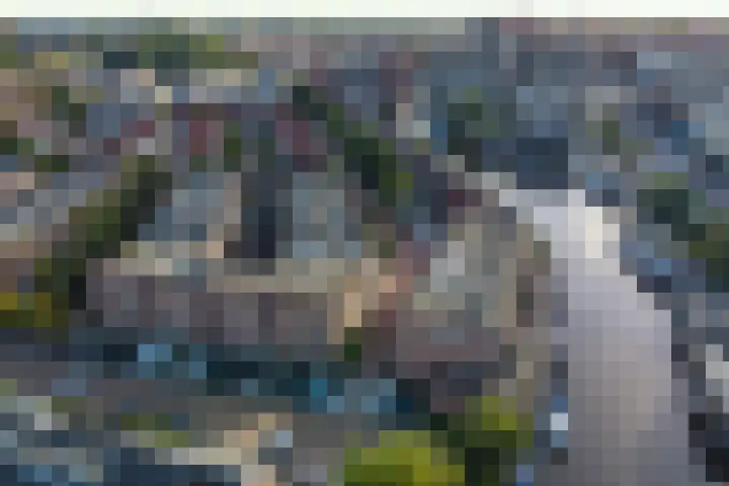 Hamei 3 Alkmaar thumbnail 29