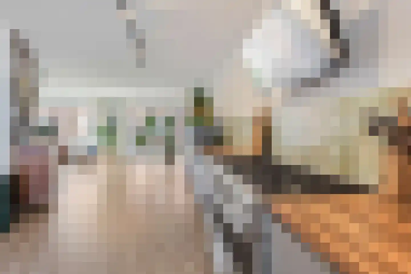 Hamei 3 Alkmaar thumbnail 5