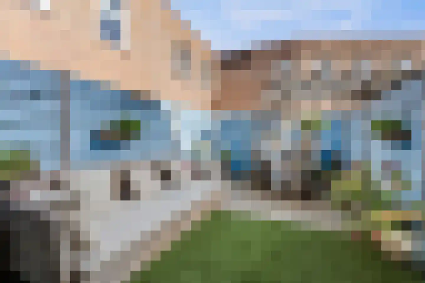 Hamei 3 Alkmaar thumbnail 9