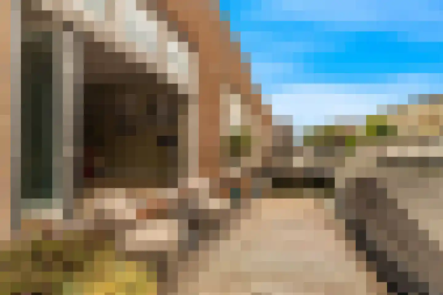 Hamei 8 Alkmaar thumbnail 11