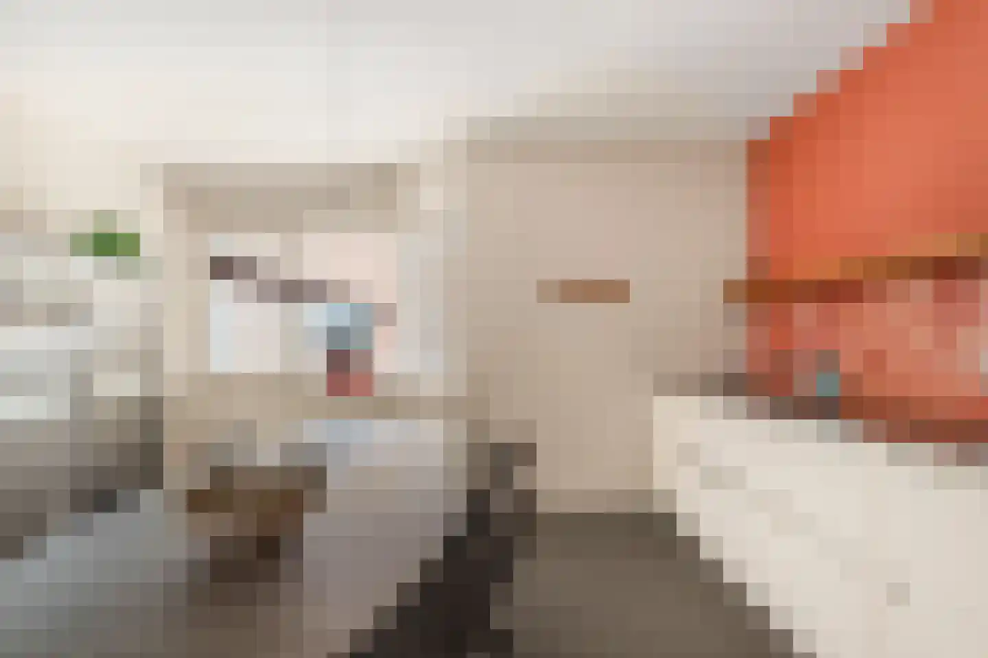 Hamei 8 Alkmaar thumbnail 15
