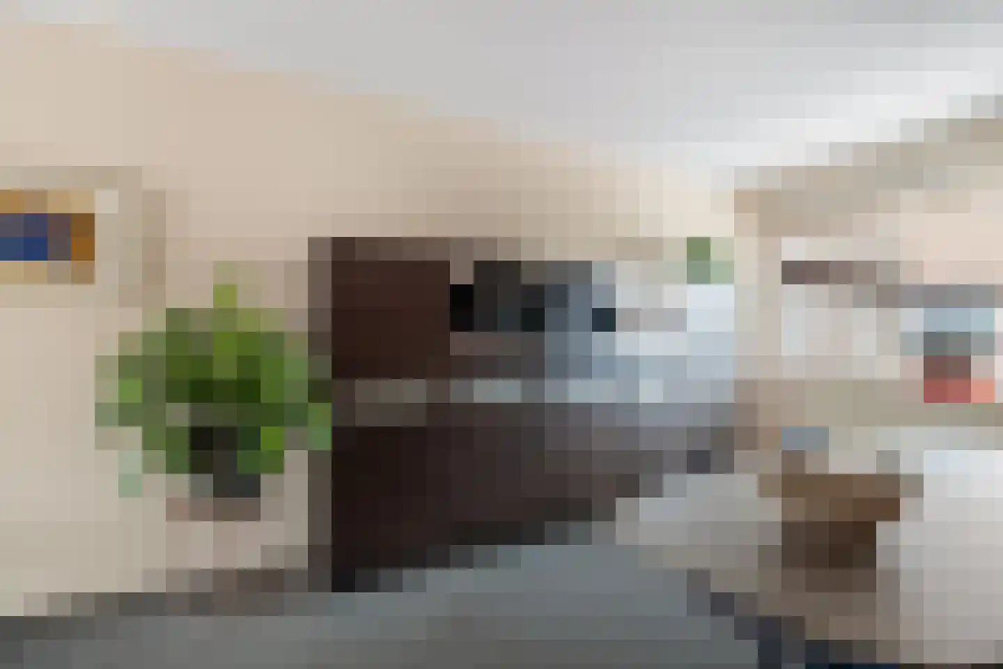 Hamei 8 Alkmaar thumbnail 16