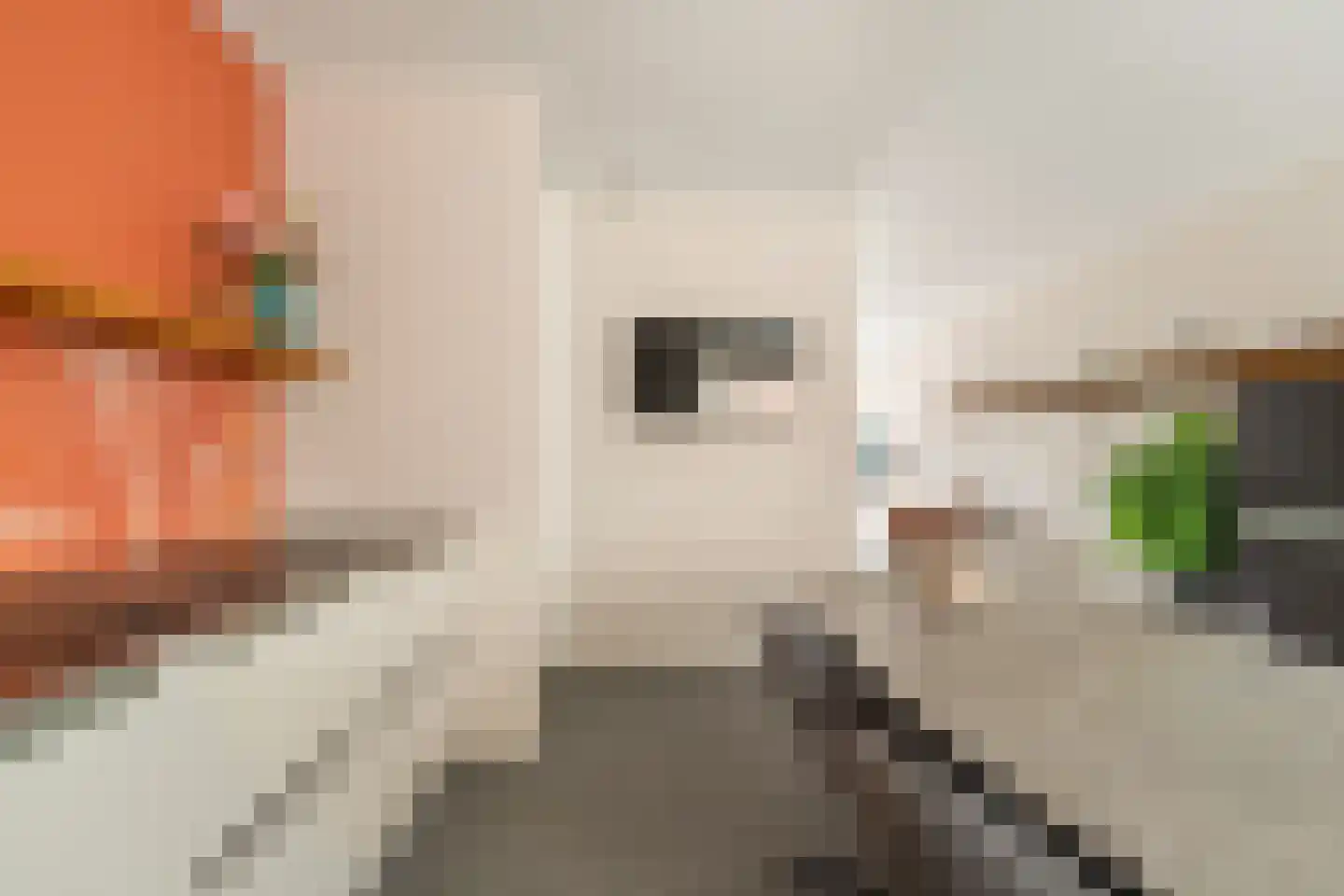 Hamei 8 Alkmaar thumbnail 20
