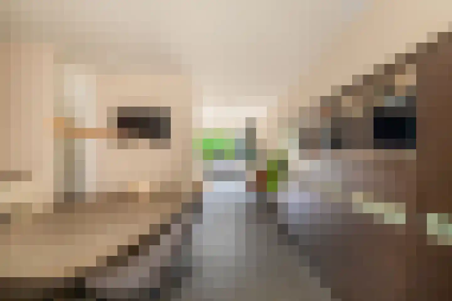 Hamei 8 Alkmaar thumbnail 21