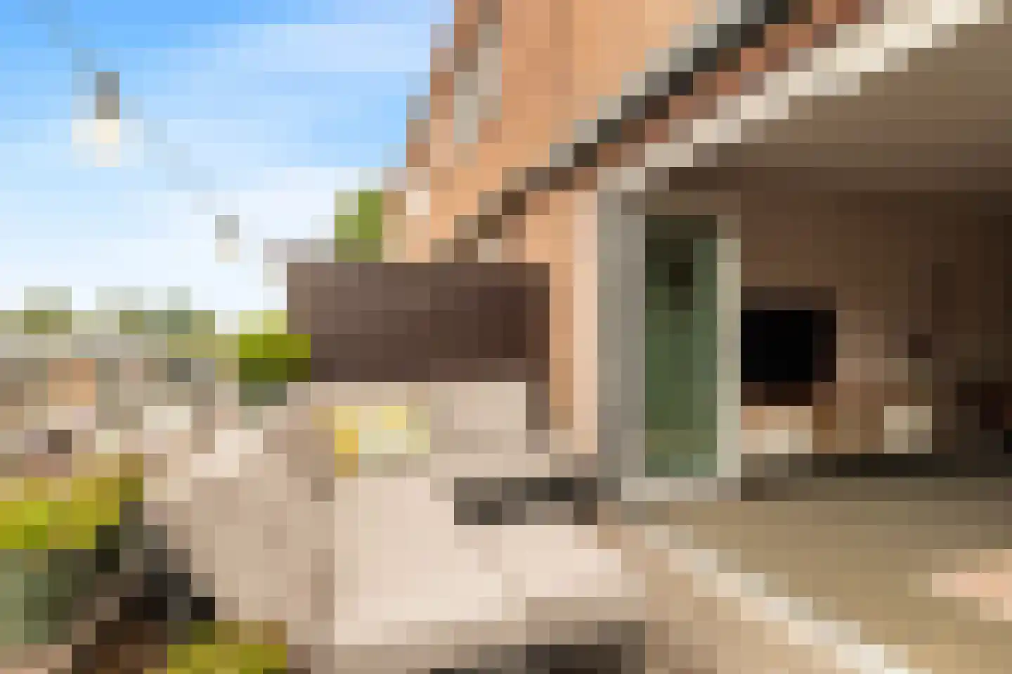 Hamei 8 Alkmaar thumbnail 29