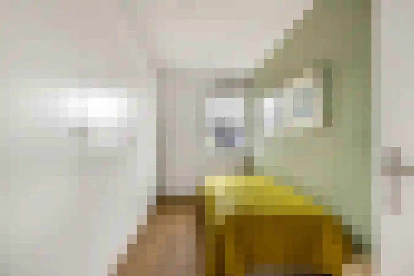 Hamei 8 Alkmaar thumbnail 39