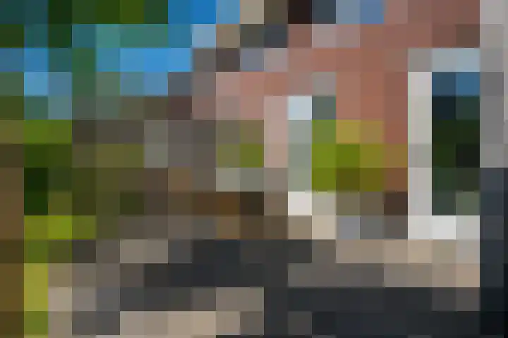 Hameie 13 Leeuwarden thumbnail 30