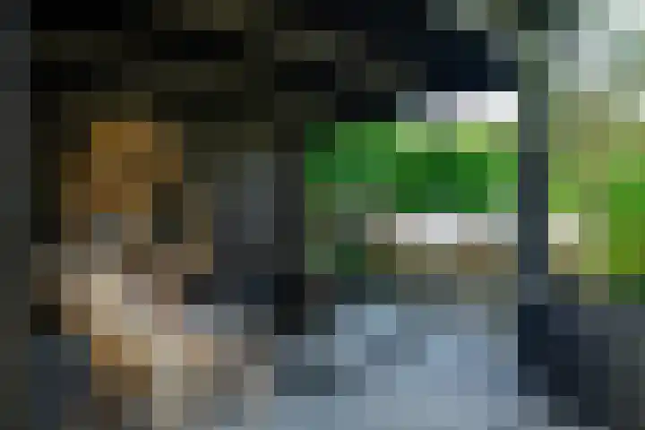 Hameie 13 Leeuwarden thumbnail 31