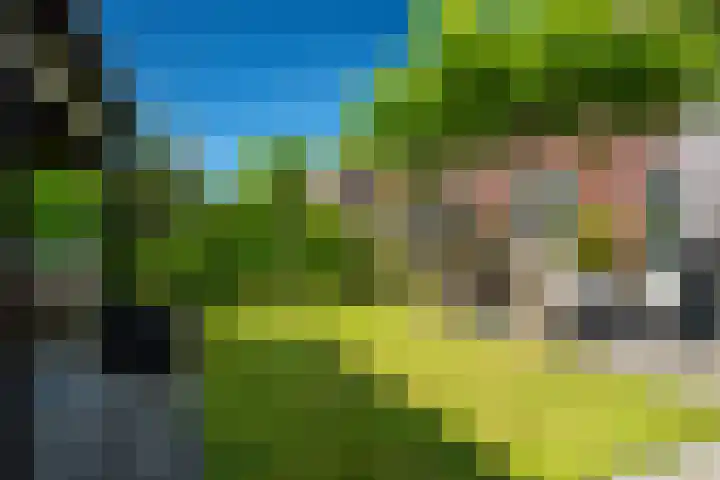 Hameie 13 Leeuwarden thumbnail 33