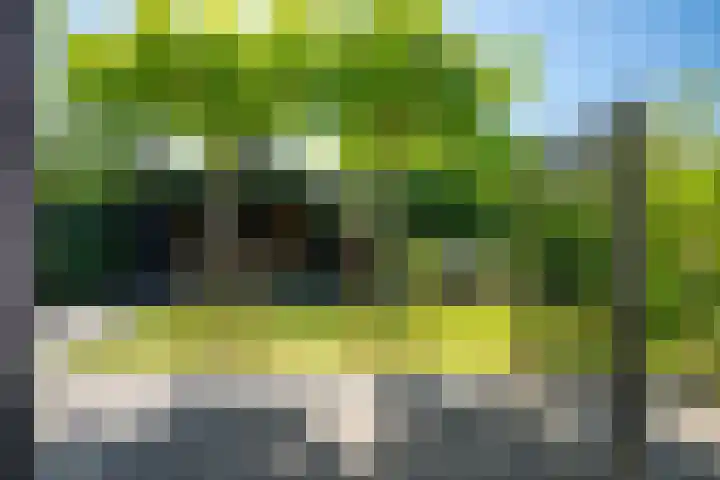 Hameie 13 Leeuwarden thumbnail 37