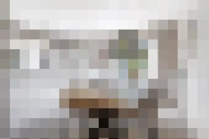 Hameie 13 Leeuwarden thumbnail 4