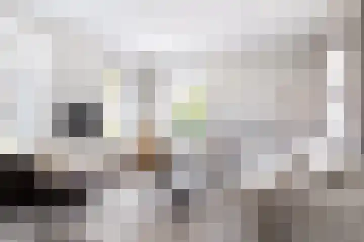 Hameie 13 Leeuwarden thumbnail 5