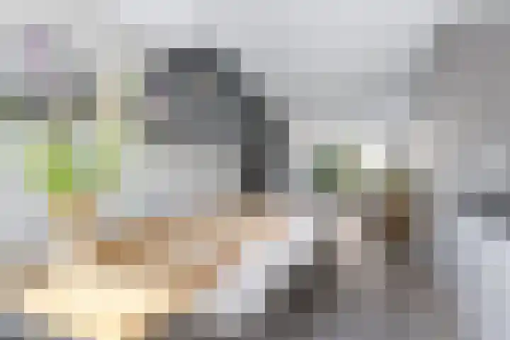 Hameie 13 Leeuwarden thumbnail 7