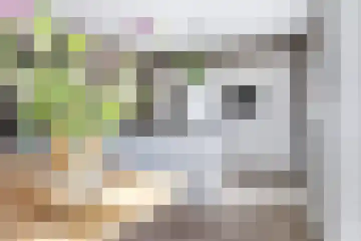 Hameie 13 Leeuwarden thumbnail 8