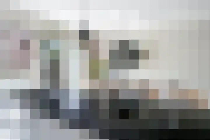 Hameie 13 Leeuwarden thumbnail 9