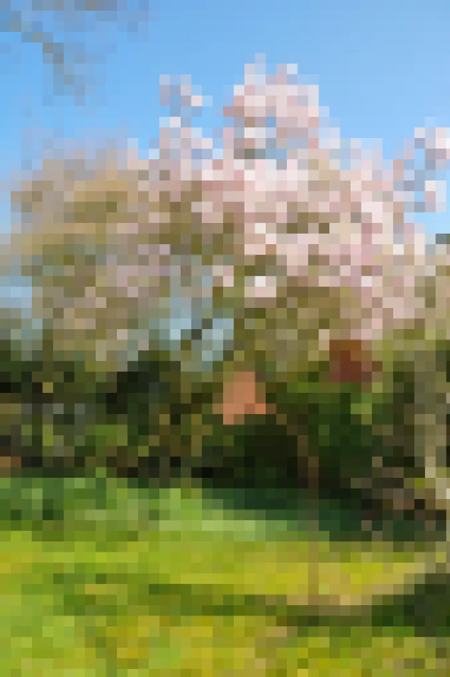 Hamelakkerlaan 11 Wageningen thumbnail 11