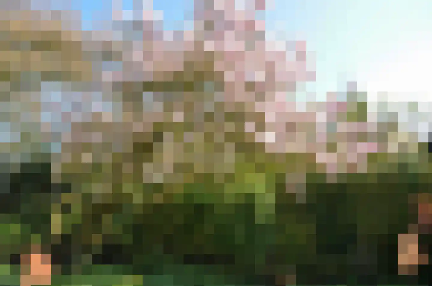Hamelakkerlaan 11 Wageningen thumbnail 12