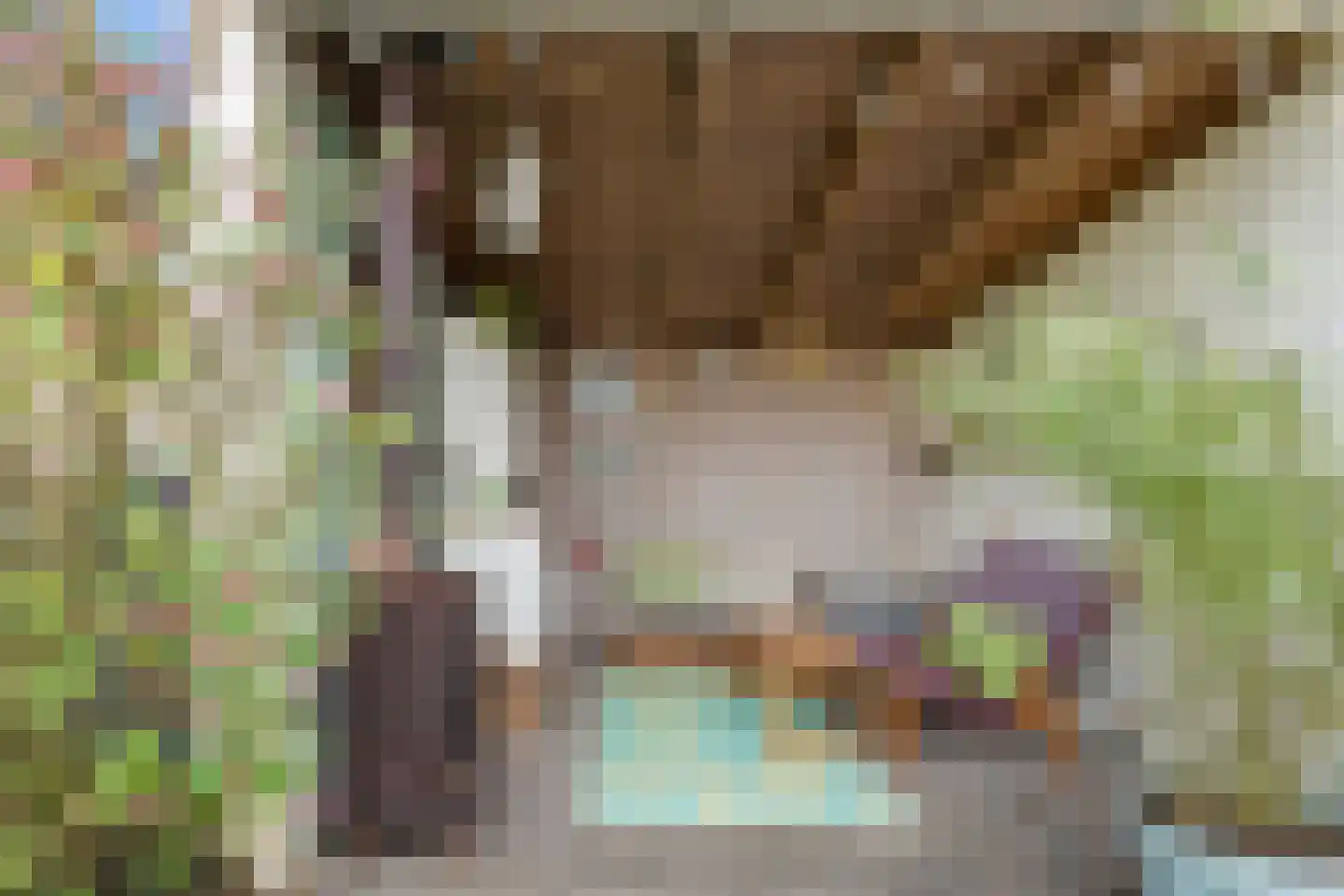 Hamelakkerlaan 11 Wageningen thumbnail 17