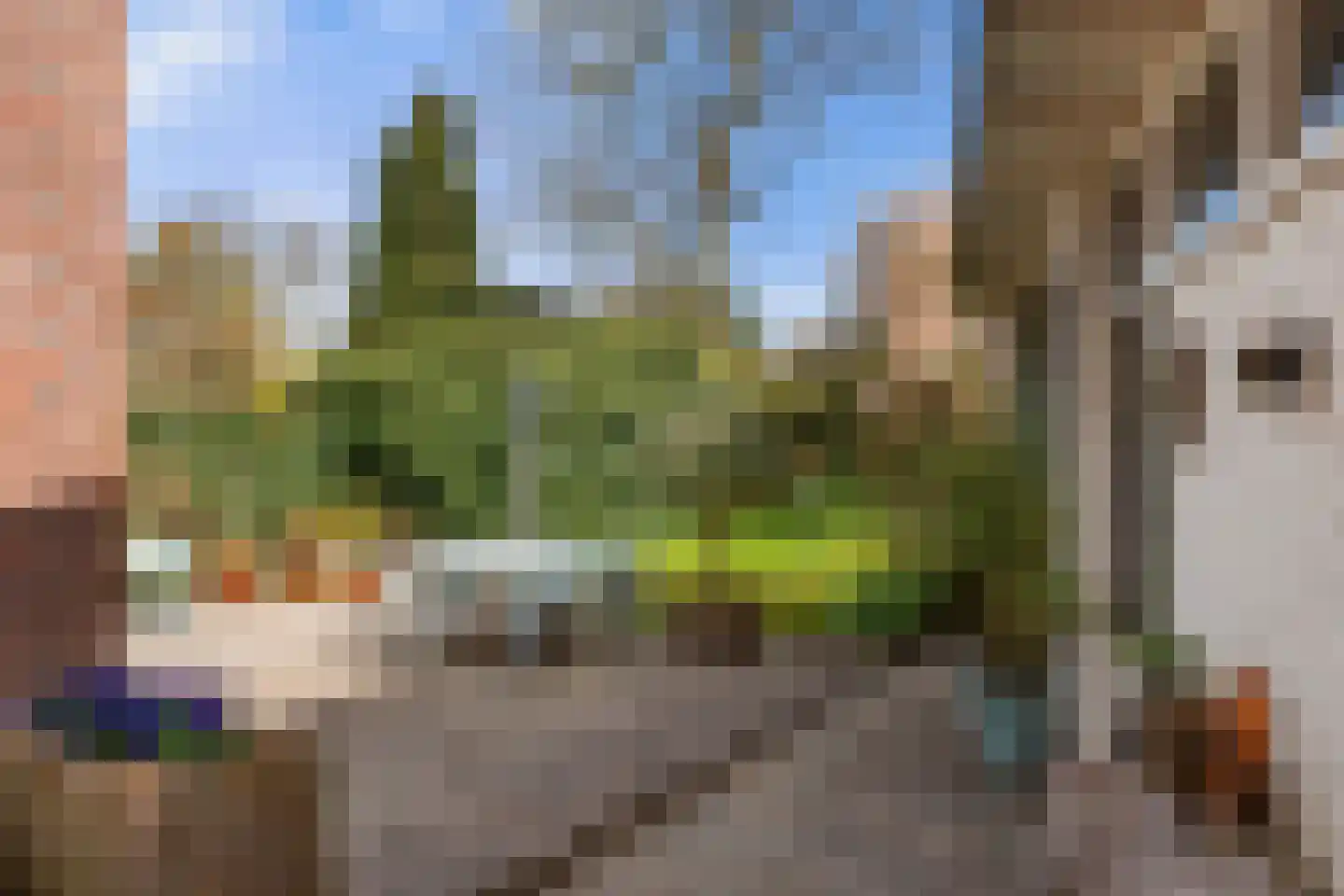 Hamelakkerlaan 11 Wageningen thumbnail 7