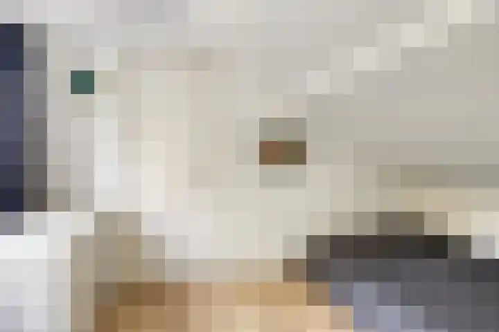 Hamelakkerlaan 4 Wageningen thumbnail 30