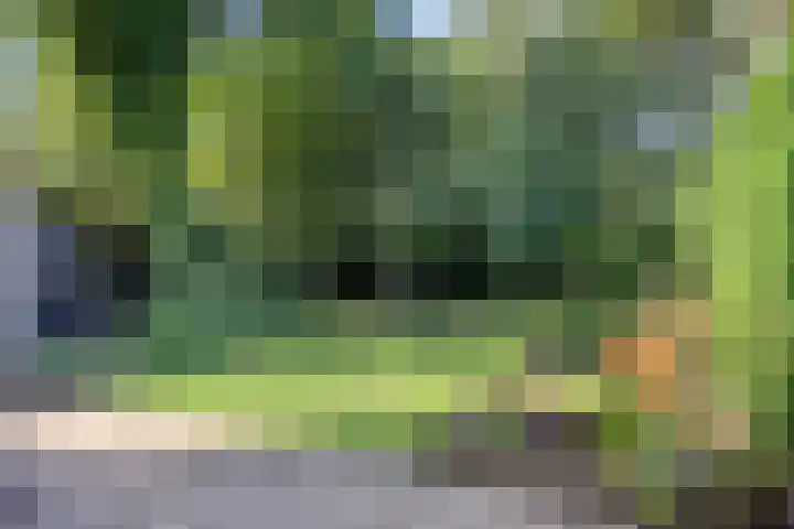 Hamelakkerlaan 4 Wageningen thumbnail 31